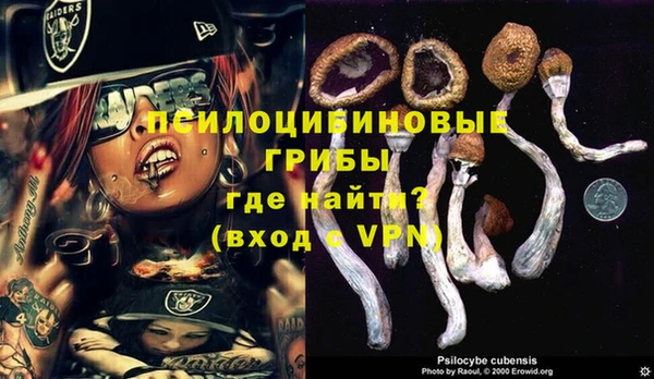 таблы Алексеевка
