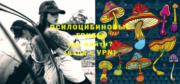 таблы Алексеевка